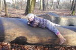 wald19