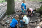 wald38