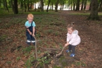 wald39